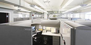 Flexible Open Plan Environment