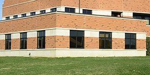 Base Standard Color