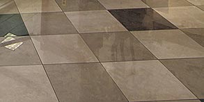 Neutral with Accent Color