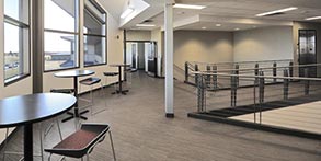 Neutral Carpet